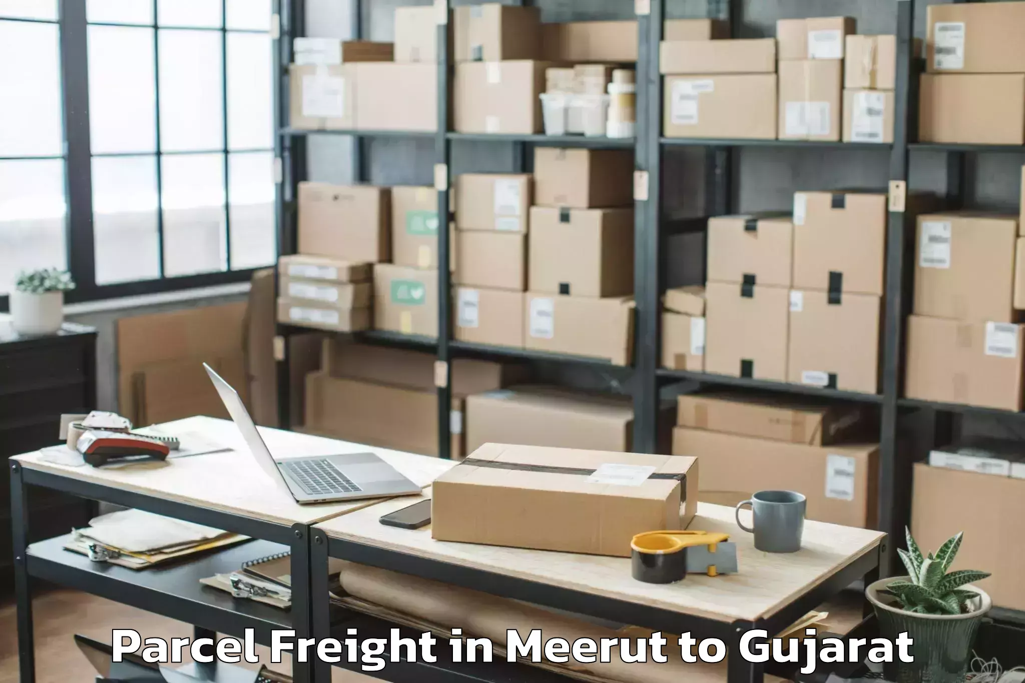 Reliable Meerut to Vapi Parcel Freight